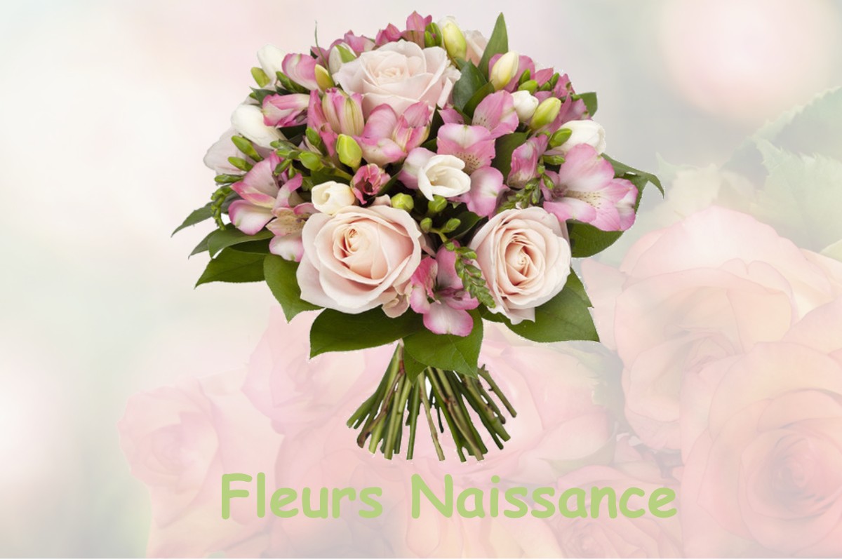 fleurs naissance BRASSAC-LES-MINES