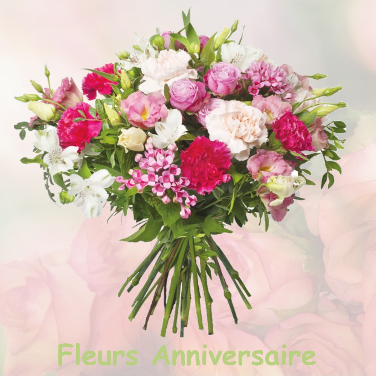 fleurs anniversaire BRASSAC-LES-MINES